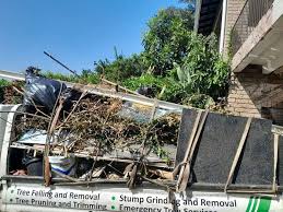 Best Shed Removal  in Stonegate, CO
