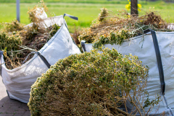 Best Property Management Cleanouts  in Stonegate, CO